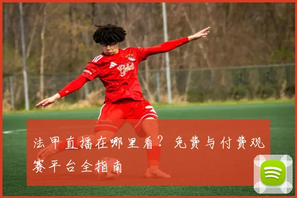 法甲直播在哪里看？免费与付费观赛平台全指南