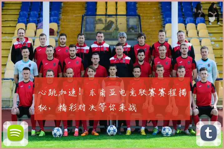 心跳加速!东南亚电竞联赛赛程揭秘,精彩对决等你来战